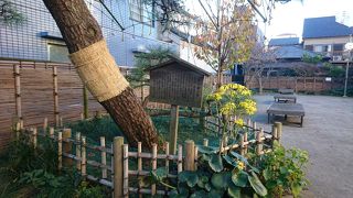 街道松が植えられたポケットパーク