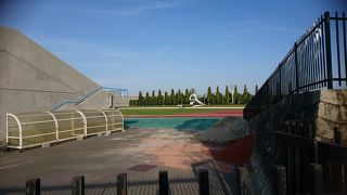 びわ湖毎日マラソンのスタートとゴールの場所