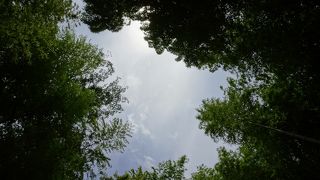 中央のベンチに寝転がって