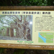 まずは遊歩道入口で大体の位置を地図で確認