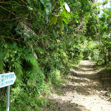 こんな感じの道を進んでいきます