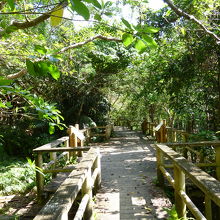 このテラスの四方に廃墟が広がります