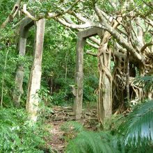 これはベルトコンベア跡？