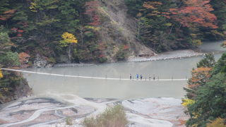 夢の吊り橋はバランスを取るために吊り縄の幅はそこそこありますが 通路幅は1mもありません