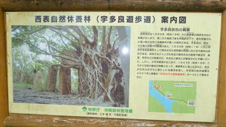 実は遊歩道ですぐ近くまで行けます