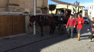 バレッタでは馬車が多かったが客を乗せているのは見なかった