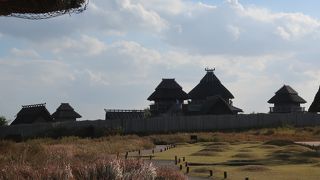 広大な弥生時代の環壕集落遺跡公園