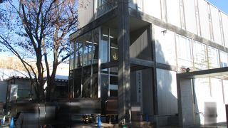 フェルメール展に行ってきました。