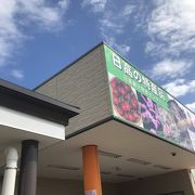 地元の野菜なども売ってる、こじんまりしたSA