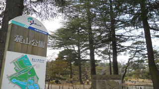 広くて自然たっぷり