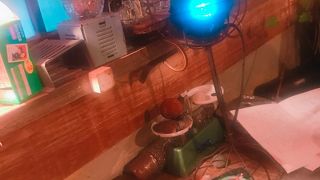 雑多な饅頭カフェ