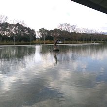 水をはったたたずまいが落ち着きを感じさせる。