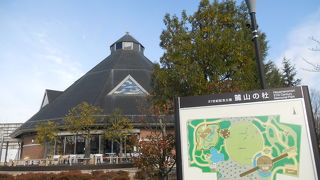 緑たっぷりの綺麗な公園☆