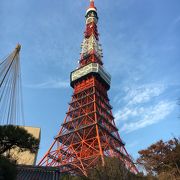 おいしいおとうふ料理と美しい庭園