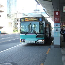 緑のバスは国際線回りです