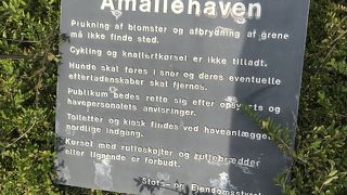 お散歩がきもちよい！