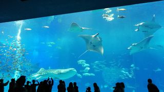 2度目でも、楽しめる。