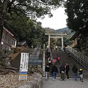 毎年家族で初詣