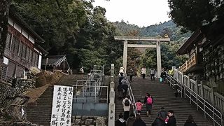 毎年家族で初詣