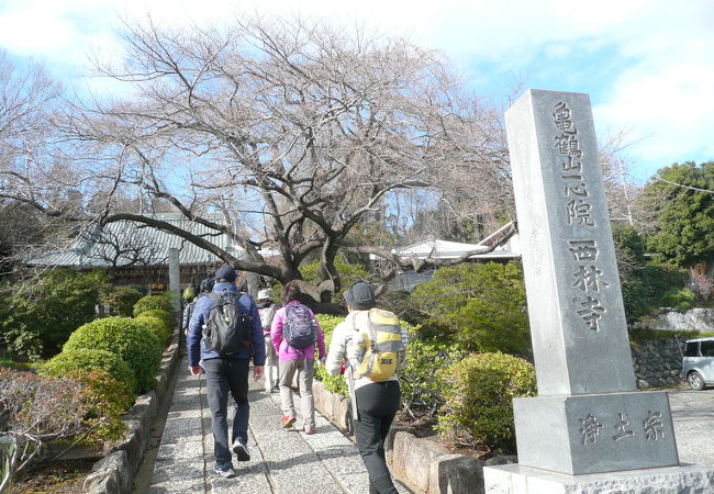 ”鶴が舞い、亀が遊ぶ”と言う吉相の山号のお寺