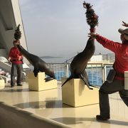 結構大人も楽しめる水族館！