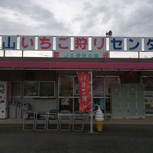 韮山いちご狩りセンター