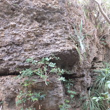 最南點までの風景