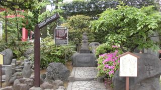 浅草にきて知りました。