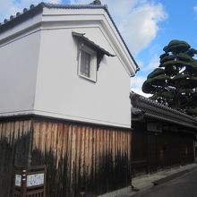 南西側から、蔵や外塀越しに眺めるカイヅカイブキも素晴らしい！