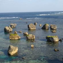 隆起石灰岩が立ち並ぶ北側の風景