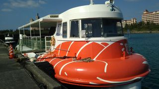 手軽に海底ウォッチング （シースカイ博愛）