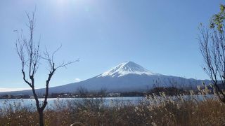 ワンちゃんと富士山のコラボスポット