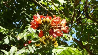 草悟道の途中にある大きな広場