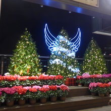 連絡通路側のイルミネーションとクリスマスツリー