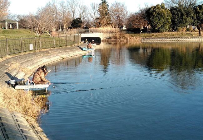 出羽公園 クチコミ アクセス 営業時間 越谷 フォートラベル