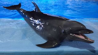  大好きな場所です