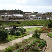 窓から眺めると川沿いの公園が見えます。