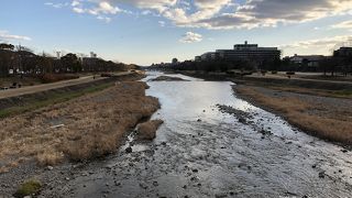 それぞれのいろんな過ごし方