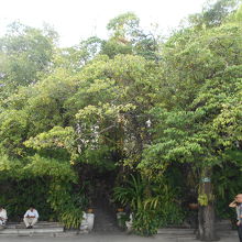 カイラス山を模したとされる丘。