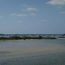 遠浅の海が広がる佐和田の浜