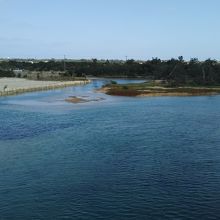 海岸は静かな入江のような場所です