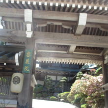 お庭も見て下さい