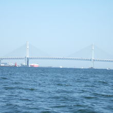 シーバスから見たベイブリッジ