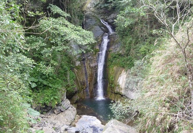 自然豊かな森林の景観が楽しめます