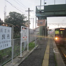 途中、多良駅で待ち合わせ停車。外に出る時間にも恵まれました