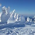 夜の樹氷鑑賞