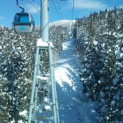 2019年１月14日現在、阿仁ゴンドラから眺める森吉山の雪景色が綺麗でした