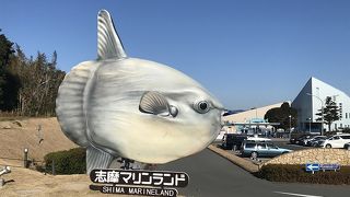 水族館