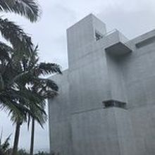 ヤシの木と記念館