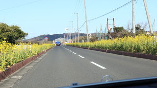 冬の房総フラワーラインを走る